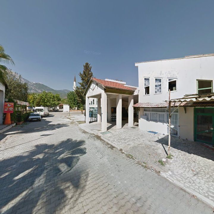 Fotoğraf 12