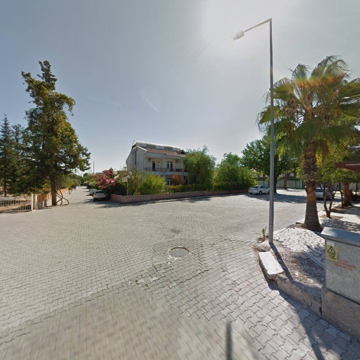 Fotoğraf 10