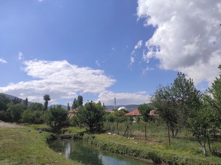 Aldemir Alabalık