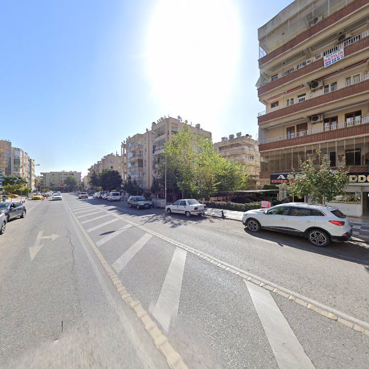 Fotoğraf 10