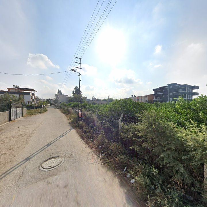 Fotoğraf 4