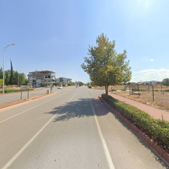 Fotoğraf 11