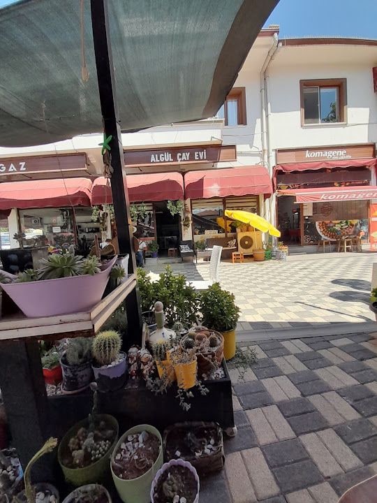 Algül Çayevi