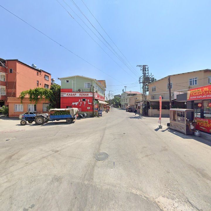 Fotoğraf 6