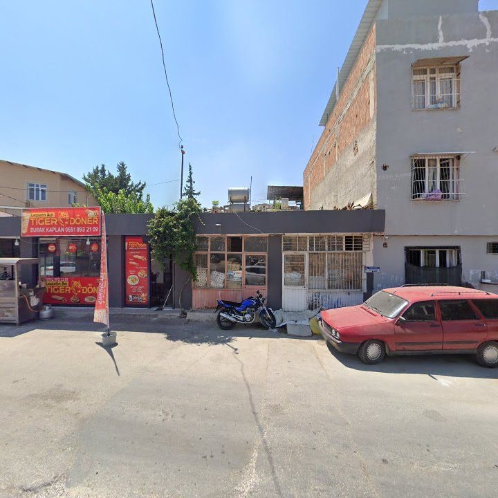 Fotoğraf 3