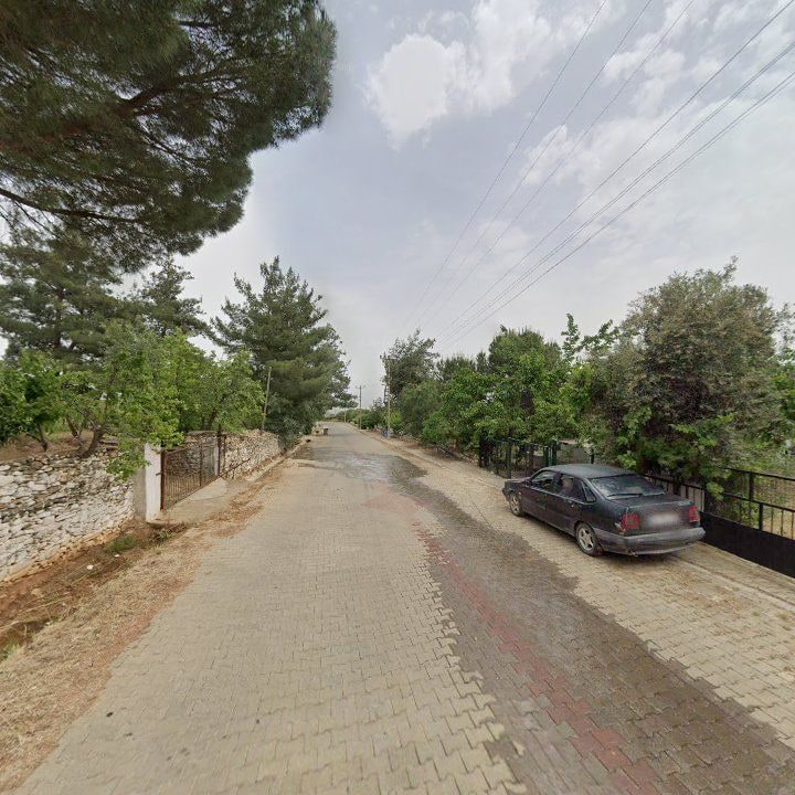 Fotoğraf 3