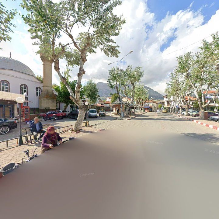 Fotoğraf 11
