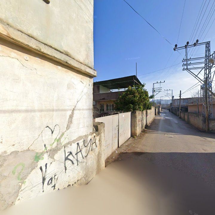 Fotoğraf 3