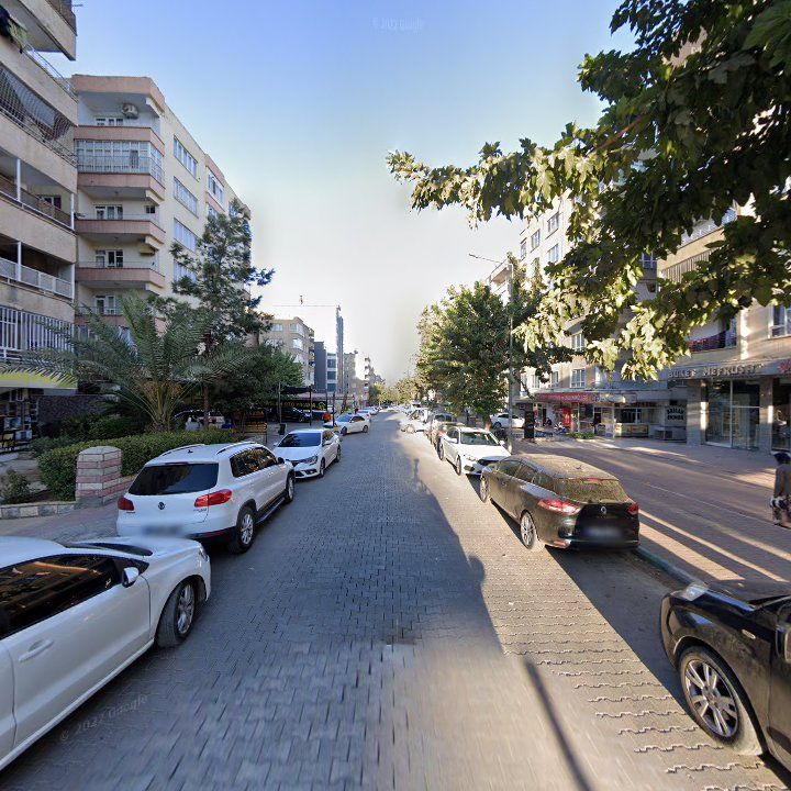 Fotoğraf 6