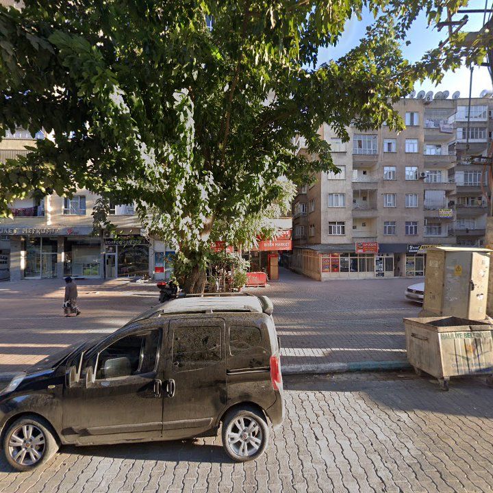 Fotoğraf 3