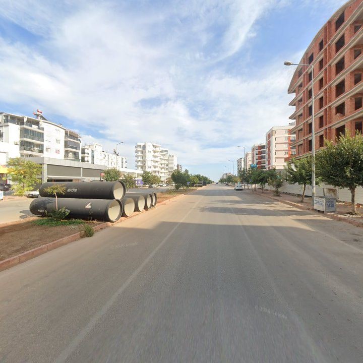 Fotoğraf 11