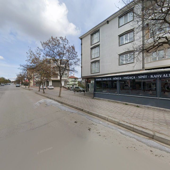 Fotoğraf 10