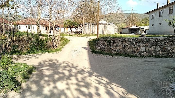 Aliağalar
