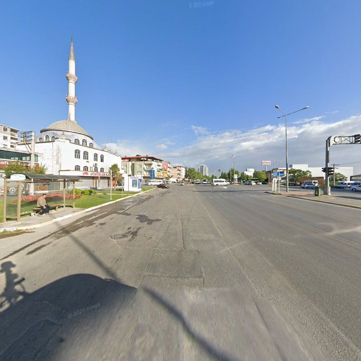 Fotoğraf 7