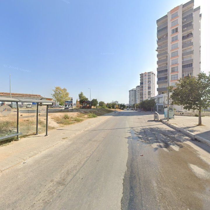 Fotoğraf 11