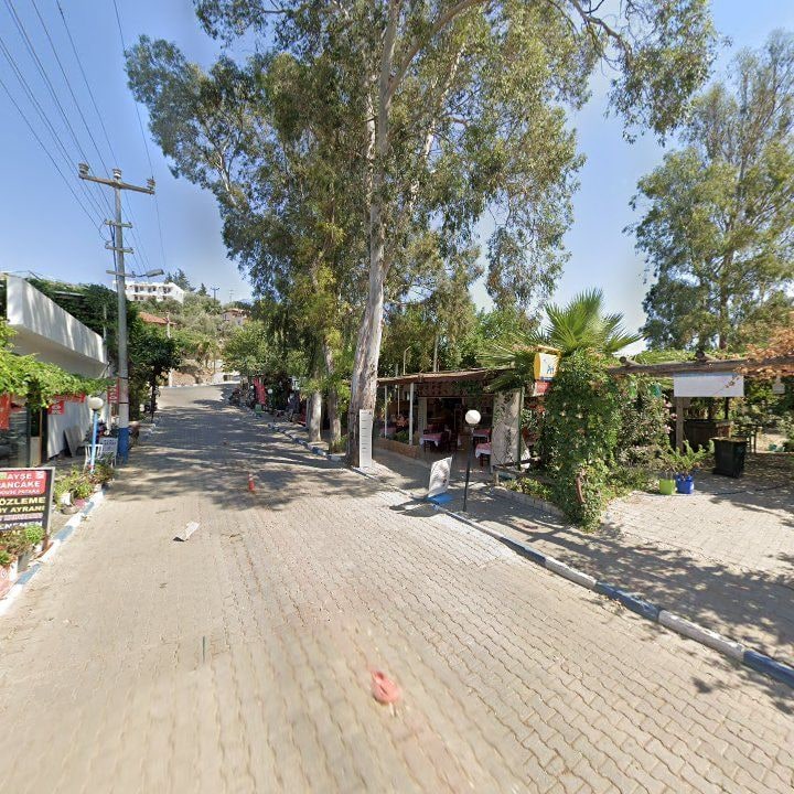 Fotoğraf 10