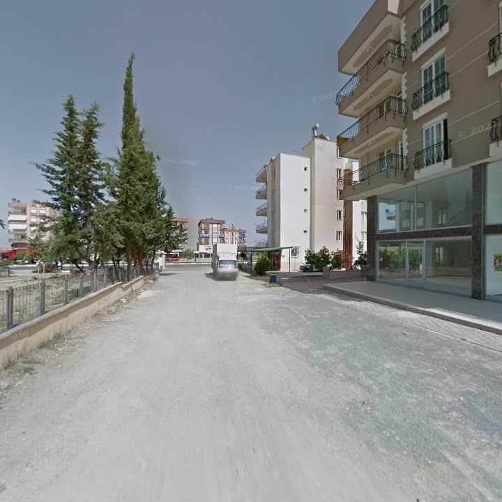 Fotoğraf 7