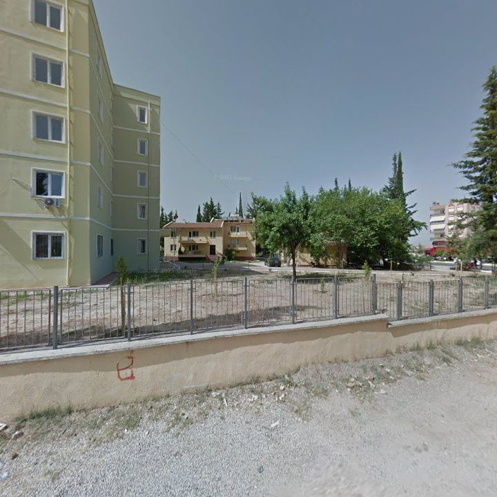 Fotoğraf 10