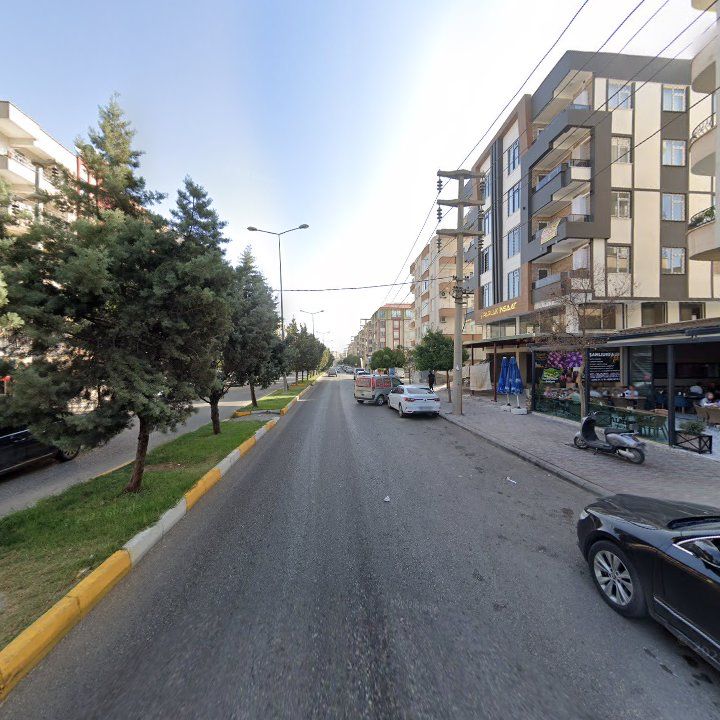 Fotoğraf 10