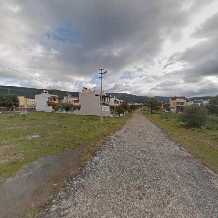 Fotoğraf 11