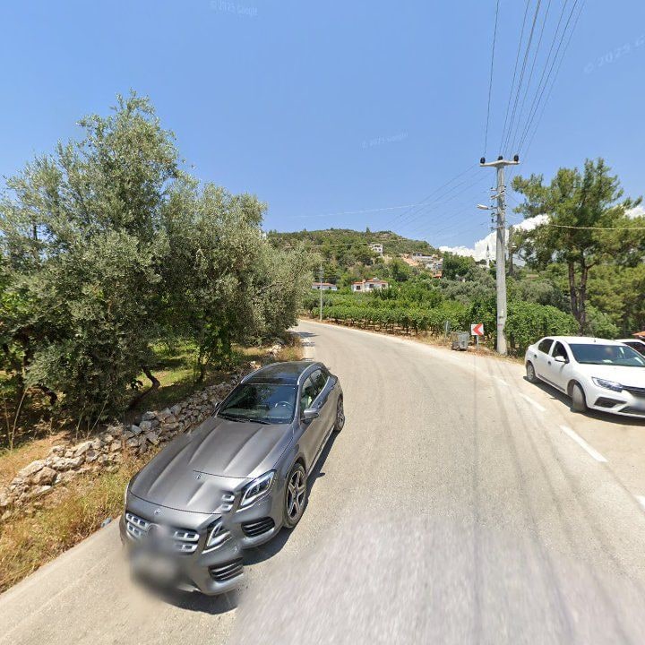 Fotoğraf 10