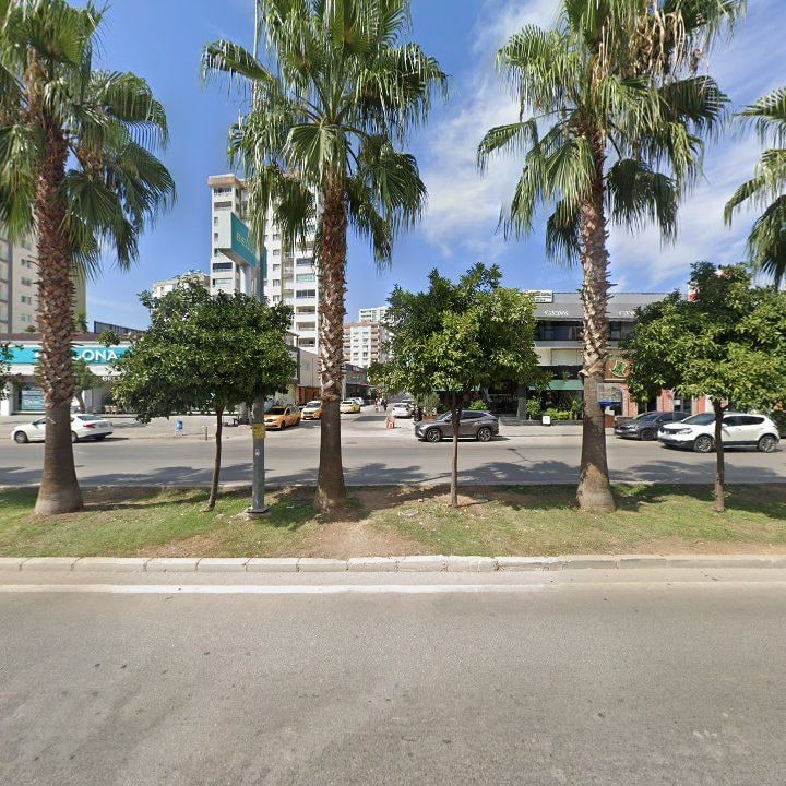 Fotoğraf 12