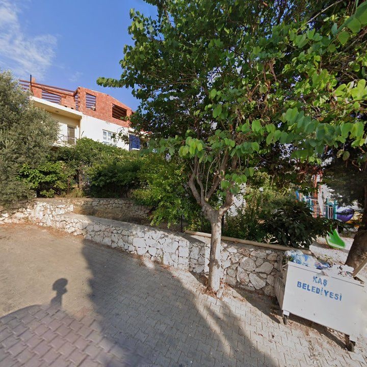 Fotoğraf 6