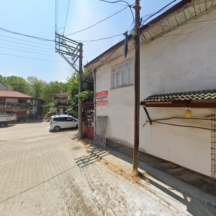 Fotoğraf 9