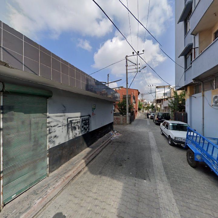 Fotoğraf 6