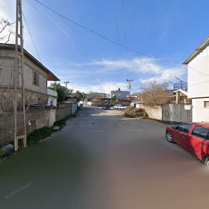 Fotoğraf 7