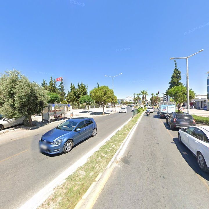 Fotoğraf 8