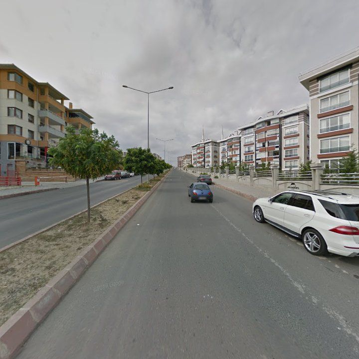 Fotoğraf 11