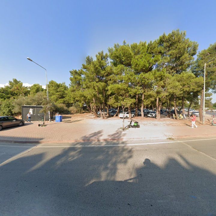 Fotoğraf 12