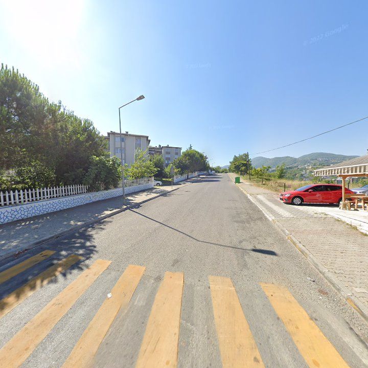 Fotoğraf 6