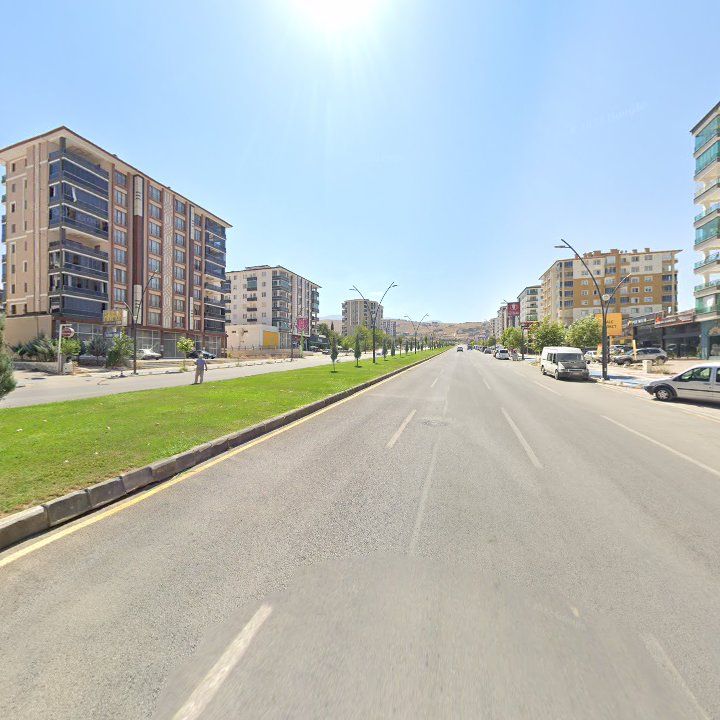 Fotoğraf 10