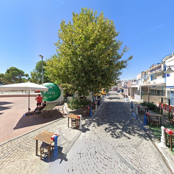 Fotoğraf 12