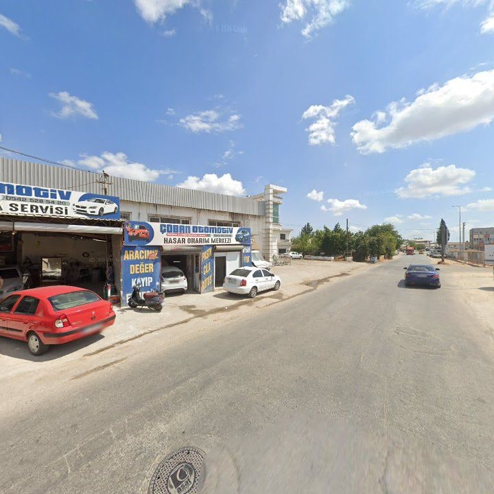 Fotoğraf 6
