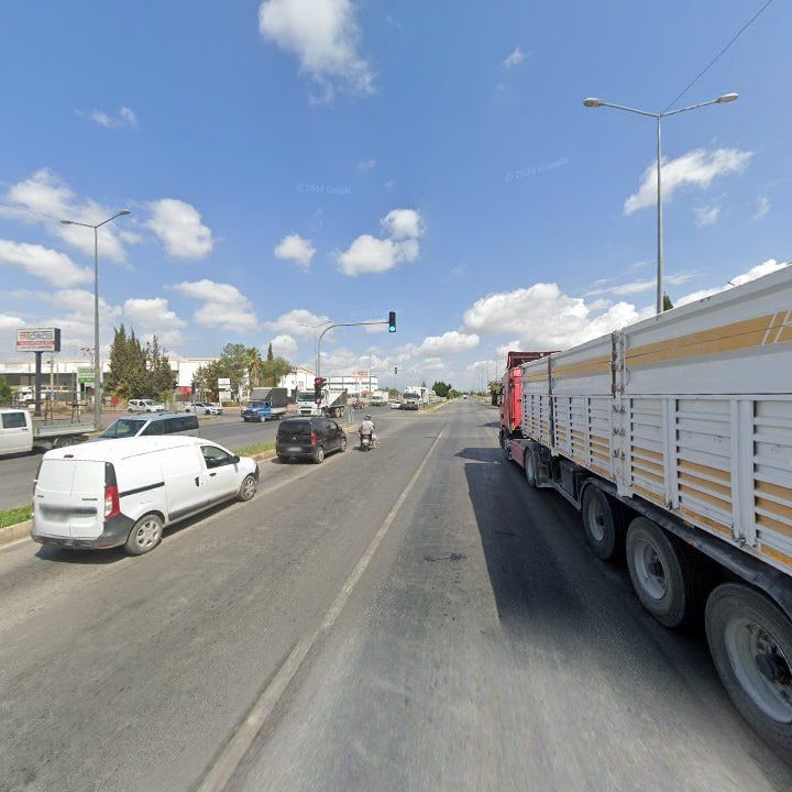Fotoğraf 6