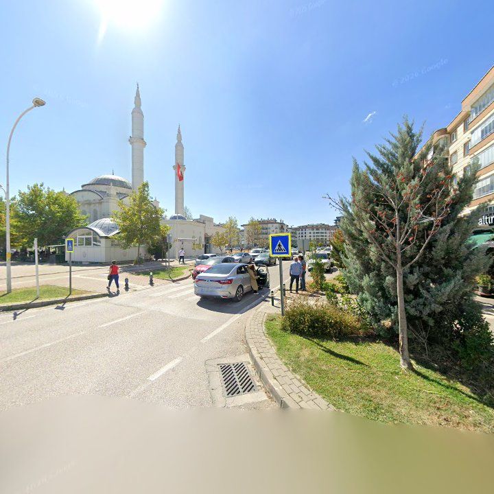 Fotoğraf 10