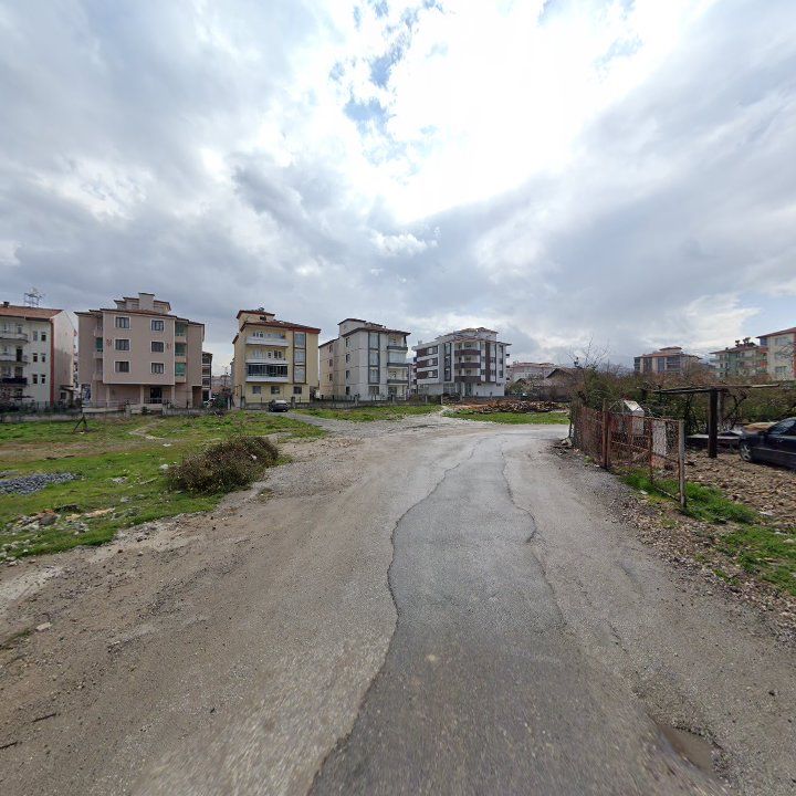 Fotoğraf 7
