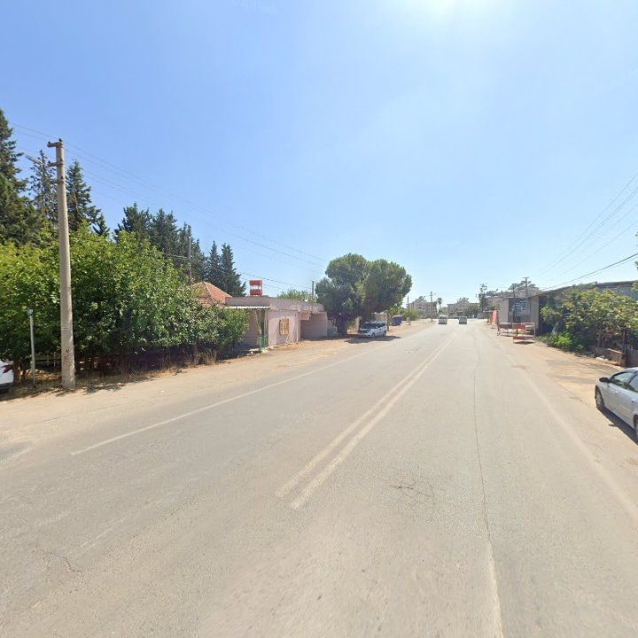 Fotoğraf 8