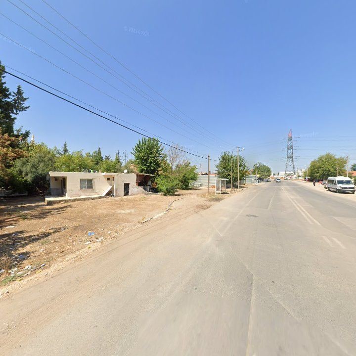 Fotoğraf 10