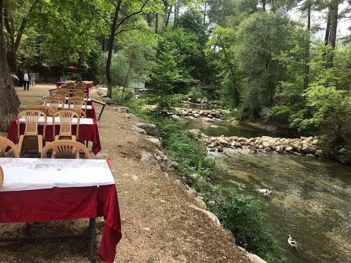 Altıntaş Piknik Restaurant