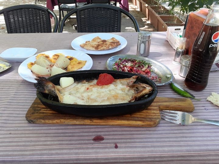 Fotoğraf 7