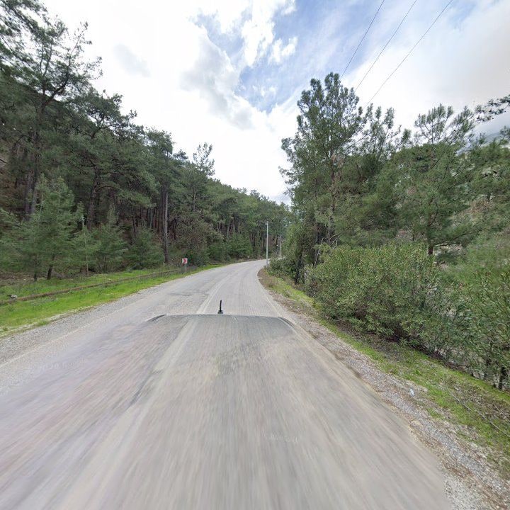 Fotoğraf 12