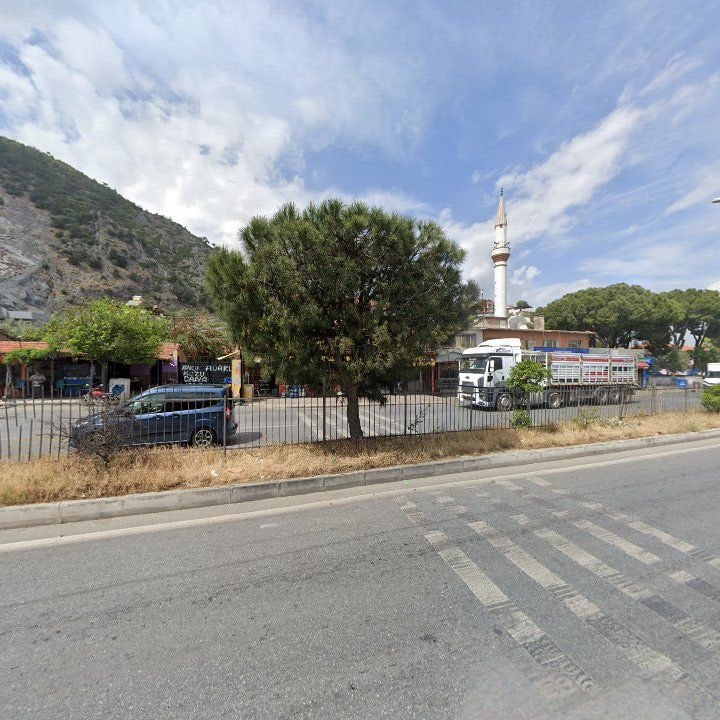 Fotoğraf 7