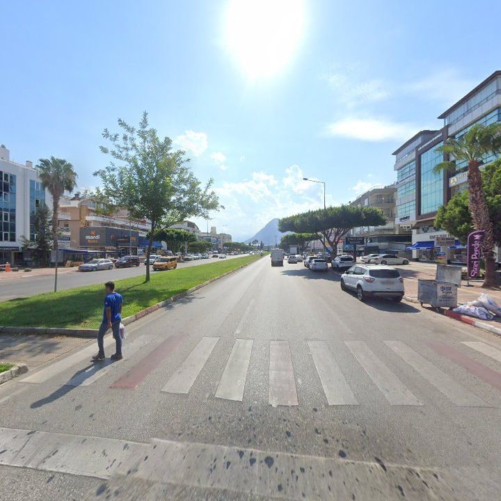 Fotoğraf 8