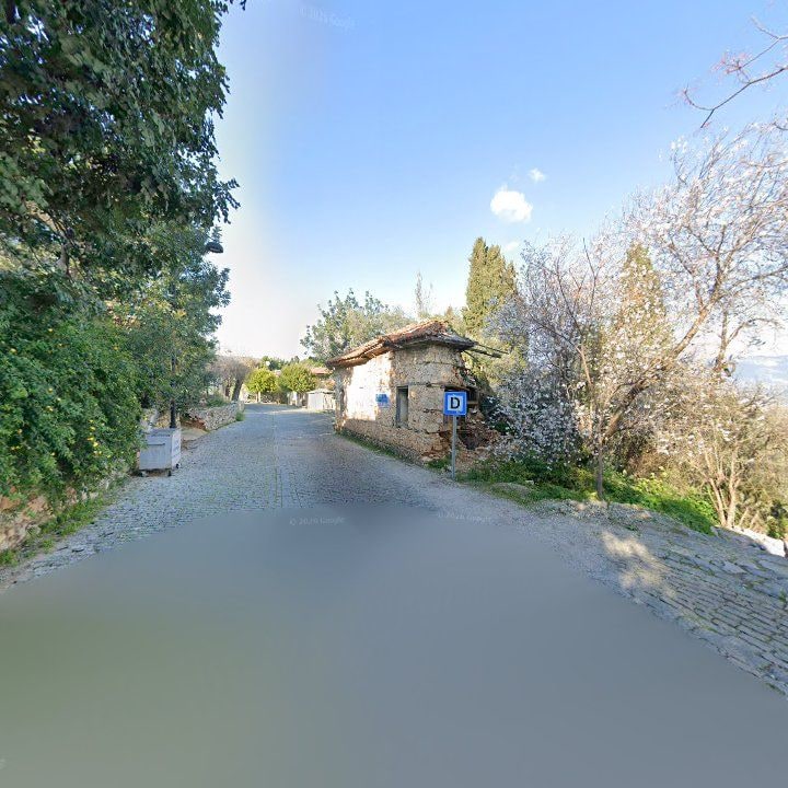 Fotoğraf 9