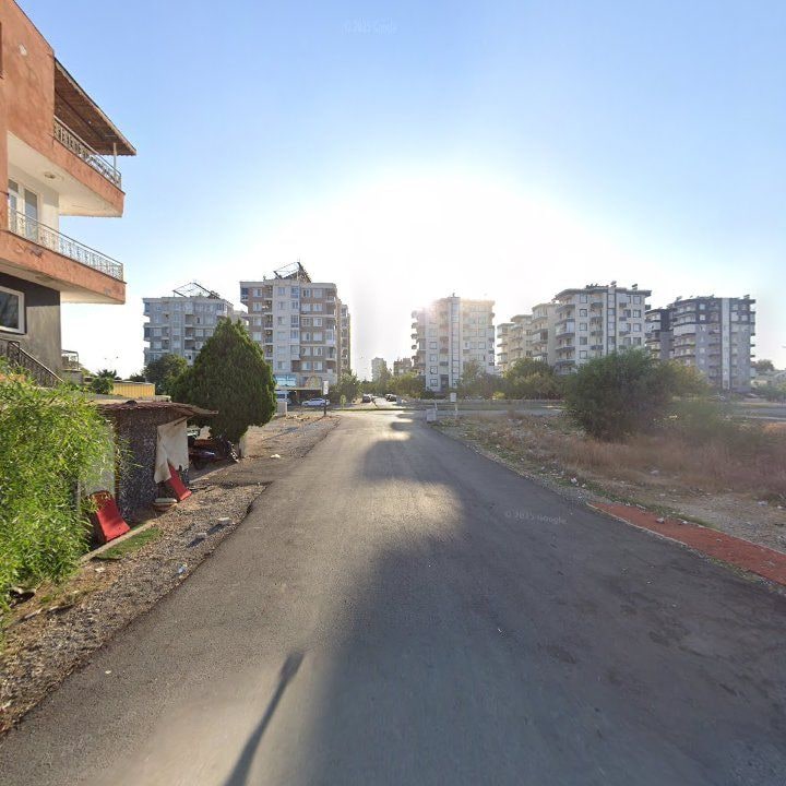 Fotoğraf 7