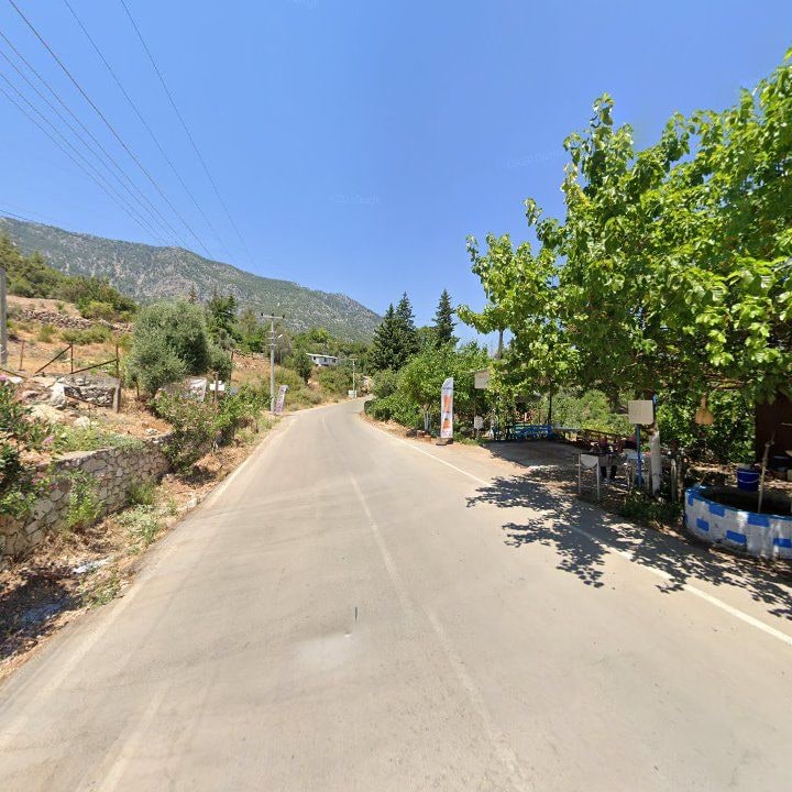 Fotoğraf 11